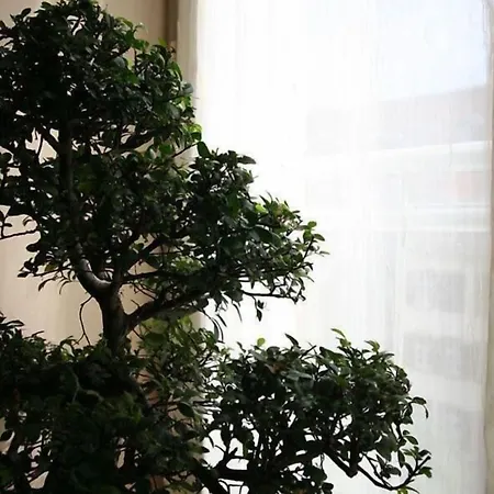 Hip 4* היידלברג