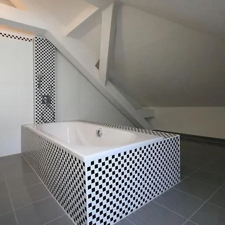 Hip היידלברג